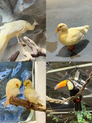 -Zoolung Zoolung动物主题公园(海信广场店)