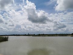 -盐城丹顶鹤湿地生态旅游区