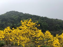 -广州市石门国家森林公园