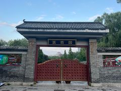 -莲花池公园
