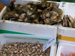 -新享乐海鲜(翠华路店)