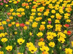 -朝阳公园游乐园