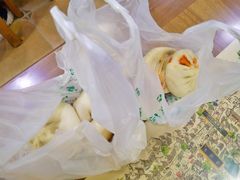 -石家包子(大学习巷店)