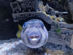 -成都浩海立方海洋公园