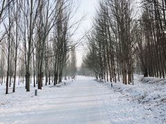 -赛汗塔拉草原公园