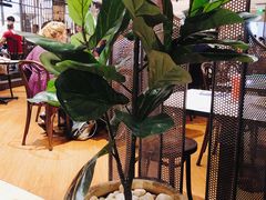 大堂-关夫人餐厅(阳光广场店)