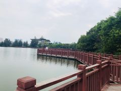 -五缘湾湿地公园