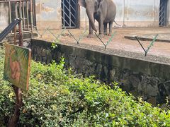 -合肥野生动物园