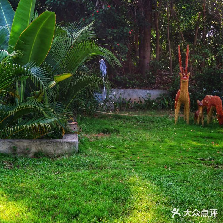 三亚民宿🏨人均100💰入住绝美独栋海景别墅👀辣妹冲鸭