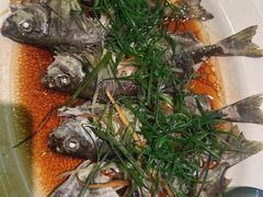 -阳江餐厅·30年老字号·粤菜海鲜大排档