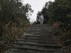 -午潮山国家森林公园
