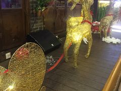 -喜鹊音乐酒馆(西街店)