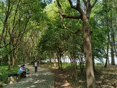-高子水居