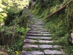 -林坑古村落