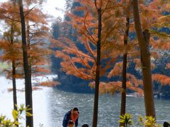 -贡湖湾湿地公园