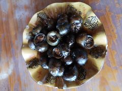 酿田螺-老根农家饭店