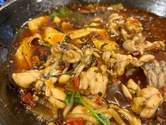 -鸿顺老铁锅美蛙鱼府(解放碑店)