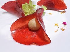 -觀芷隐轩