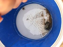 -秦皇岛阿尔卡迪亚滨海度假酒店
