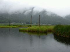 android_upload_pic-腾冲北海湿地