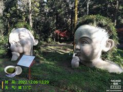 -东平国家森林公园