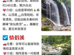 -朱雀国家森林公园