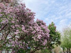 -长椿街(地铁站)