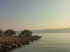 -宝安西湾红树林湿地公园