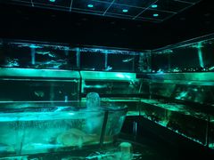 -金翠皇宫粤菜·点心·海鲜(科技园店)