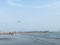-老虎石海上公园