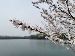 -颐和园