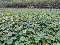 -浙江省博物馆(孤山馆区)