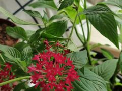 -北海银滩一号国际会议中心酒店