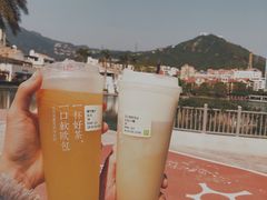 霸气橙子-奈雪的茶(大梅沙8号仓店)