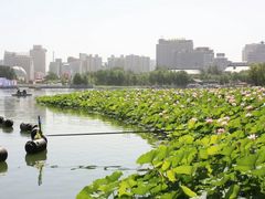 -丰台花园