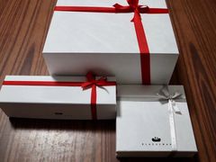 -BLACKSWAN黑天鹅(环球店)