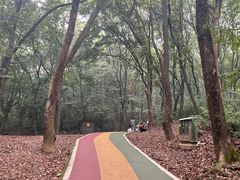 -银吉姆健身(恒隆馆)