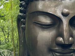 -杭州植物园