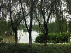 -白鹭湾湿地公园