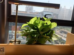 -专壹·智能24小时自习室(宝体店)