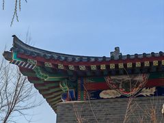 -长春孔子文化园-文庙