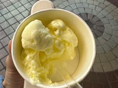 -云中鱼蒸汽石锅鱼(浦东食品城店)