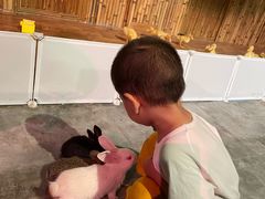 -华夏文旅海洋公园