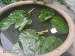 -余味私房菜(正阳小区西5街区店)