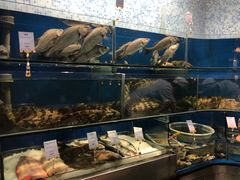 -青岛海景花园大酒店·白果树餐厅青岛菜