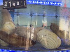 -日照大牌檔•小船海鲜(万平口店)