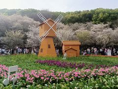 -苏州上方山国家森林公园