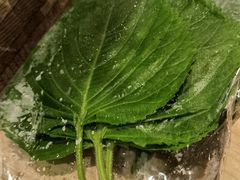 紫苏叶-新石器烤肉(高行万嘉店)