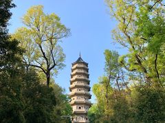 -灵谷景区