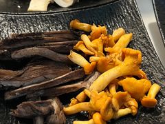 -蘑统田下·野生菌火锅